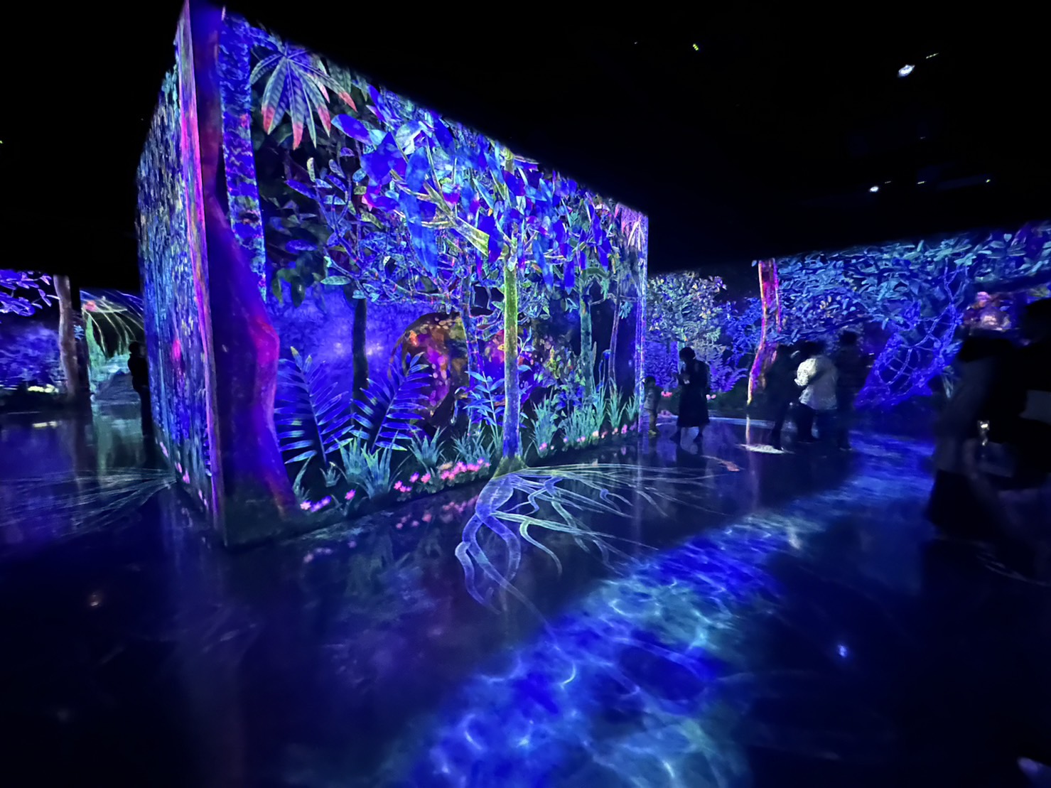 福岡 teamLab Forest